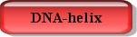 A DNA-Helix